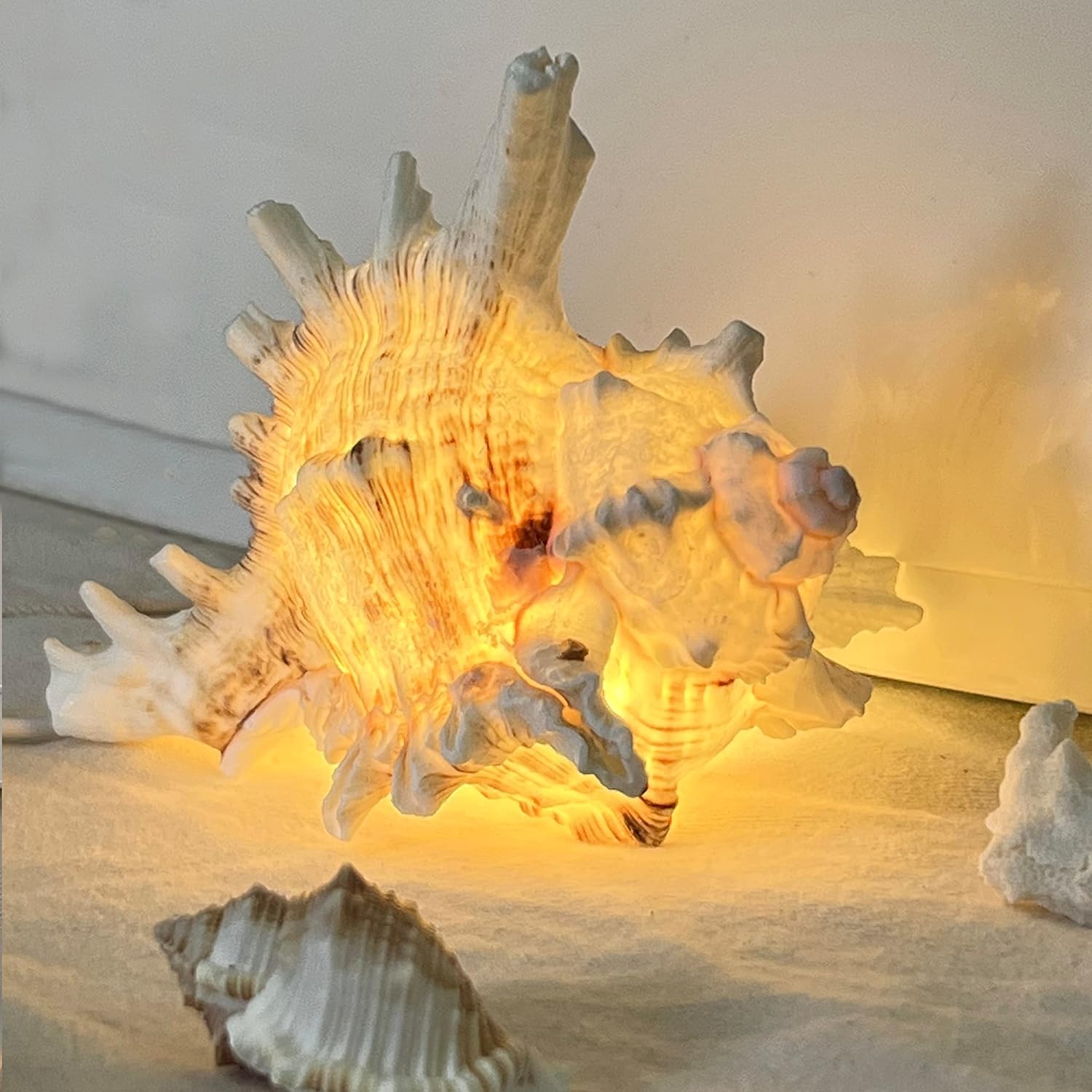 Conch Shell Night Light - USB/Battery Powered Ocean Seashell Lamp